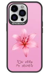 Secrets - Apple iPhone 13 Pro