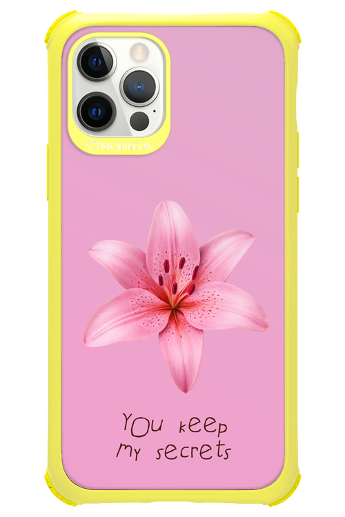 Secrets - Apple iPhone 12 Pro