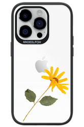 Pressed Flower - Apple iPhone 14 Pro