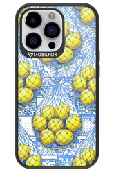 Net Style - Apple iPhone 13 Pro