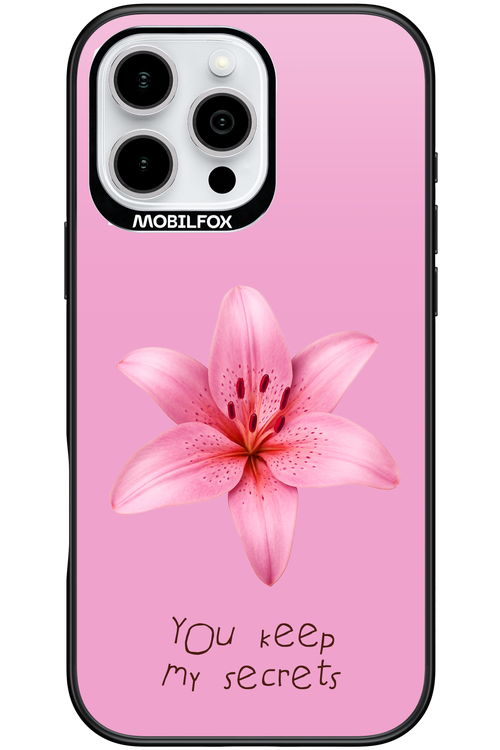 Secrets - Apple iPhone 16 Pro Max