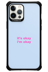 It_s Okay - Apple iPhone 12 Pro Max