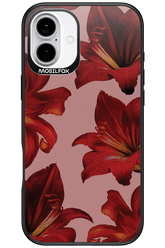 Amaryllis Mist - Apple iPhone 16 Plus