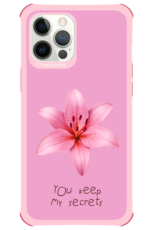 Secrets - Apple iPhone 12 Pro Max