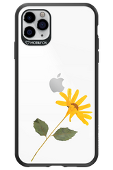 Pressed Flower - Apple iPhone 11 Pro Max