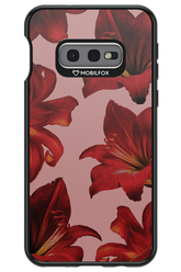 Amaryllis Mist - Samsung Galaxy S10e