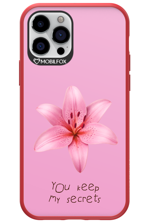 Secrets - Apple iPhone 12 Pro