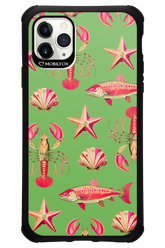 Sea Stars - Apple iPhone 11 Pro Max