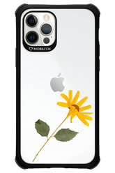 Pressed Flower - Apple iPhone 12 Pro
