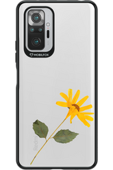 Pressed Flower - Xiaomi Redmi Note 10 Pro