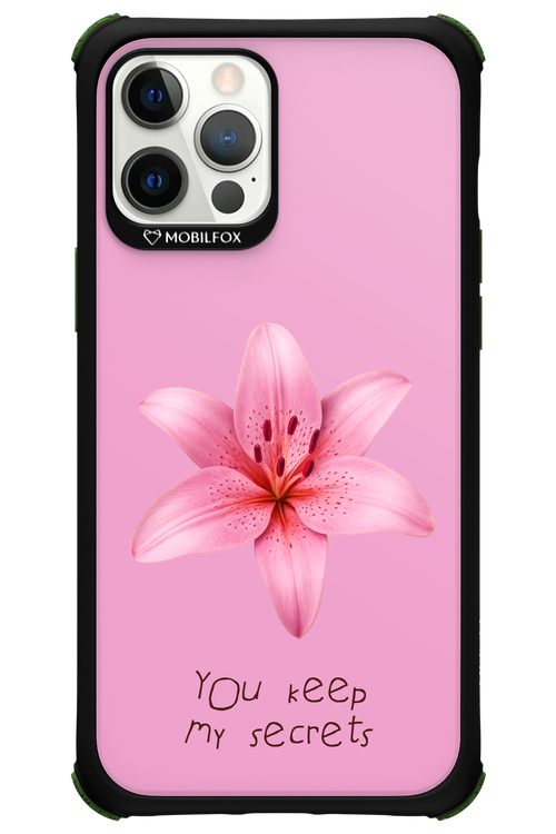 Secrets - Apple iPhone 12 Pro Max