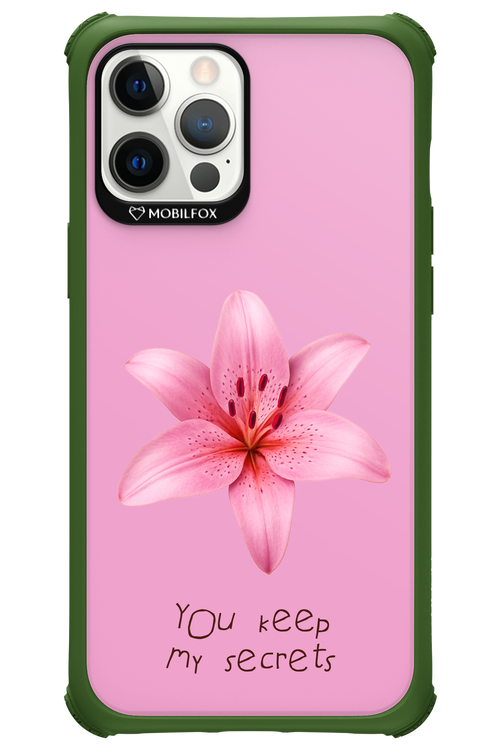 Secrets - Apple iPhone 12 Pro Max