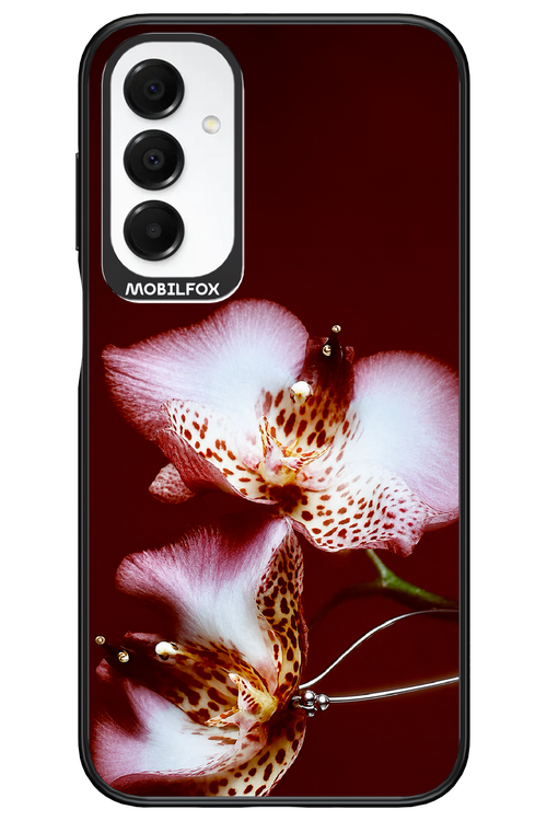 Leobloomy 2.0 - Samsung A16