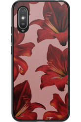 Amaryllis Mist - Xiaomi Redmi 9A