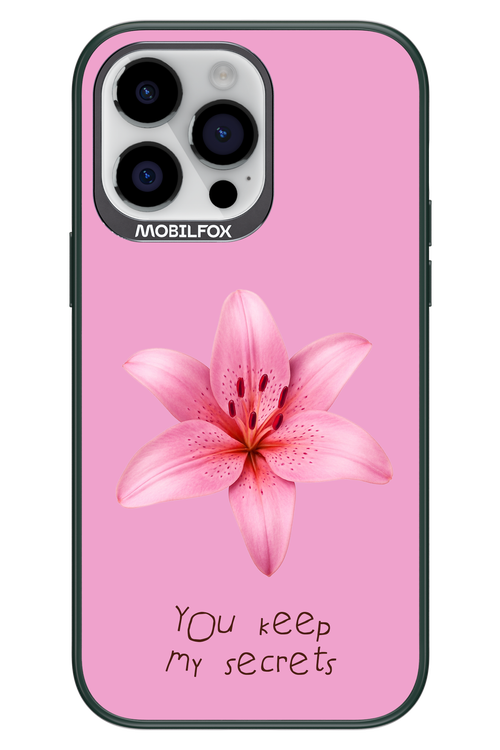 Secrets - Apple iPhone 14 Pro Max