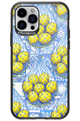Net Style - Apple iPhone 12 Pro