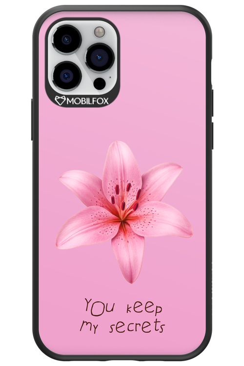 Secrets - Apple iPhone 12 Pro