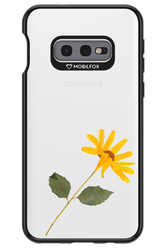 Pressed Flower - Samsung Galaxy S10e