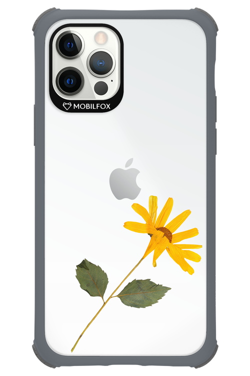 Pressed Flower - Apple iPhone 12 Pro