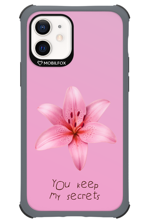 Secrets - Apple iPhone 12