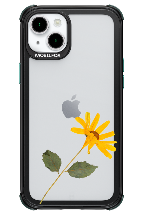 Pressed Flower - Apple iPhone 15 Plus