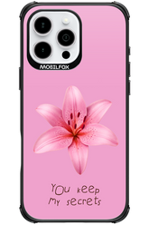 Secrets - Apple iPhone 16 Pro Max