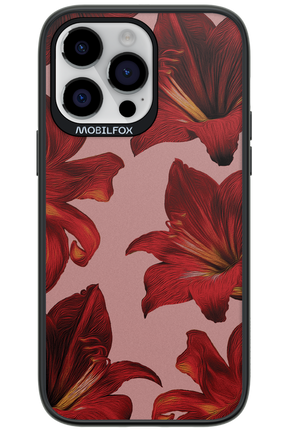 Amaryllis Mist - Apple iPhone 14 Pro Max
