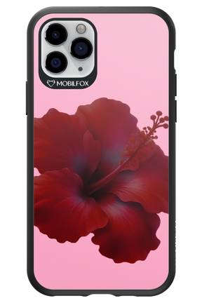 HibiGundy - Apple iPhone 11 Pro