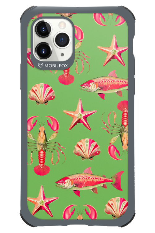 Sea Stars - Apple iPhone 11 Pro