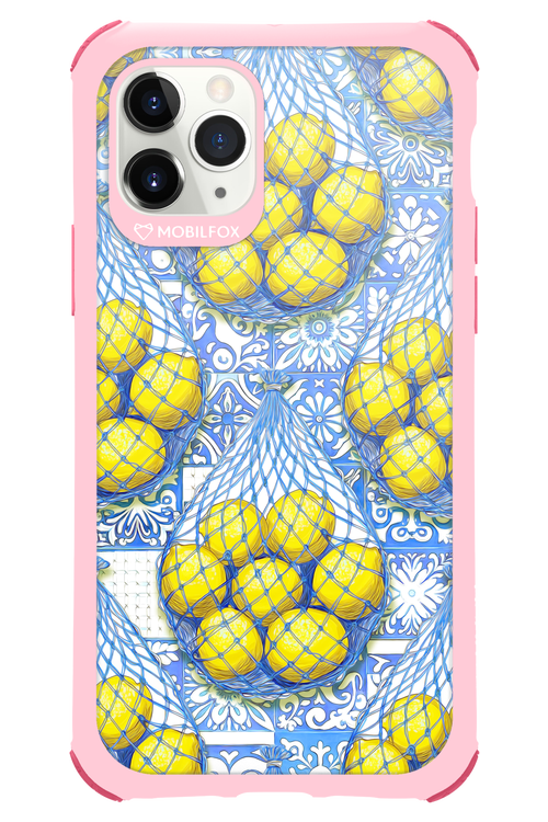 Net Style - Apple iPhone 11 Pro