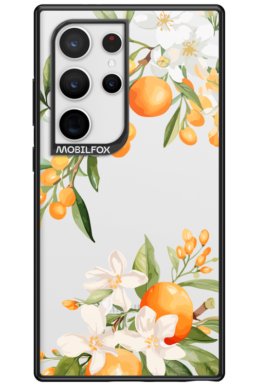 Amalfi Orange 2.0 - Samsung Galaxy S24 Ultra