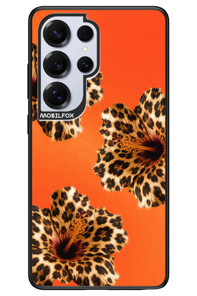 Sun Purr 2.0 - Samsung S25 Ultra