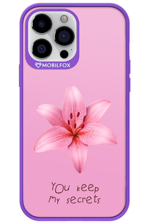 Secrets 2.0 - Apple iPhone 13 Pro Max