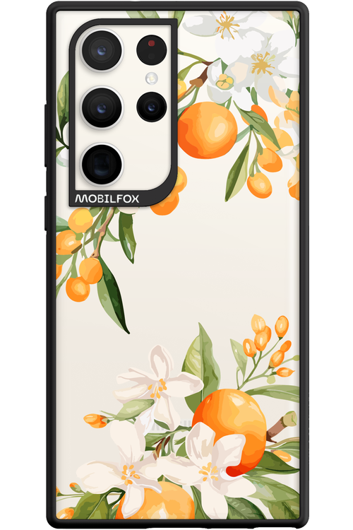 Amalfi Orange 2.0 - Samsung Galaxy S23 Ultra