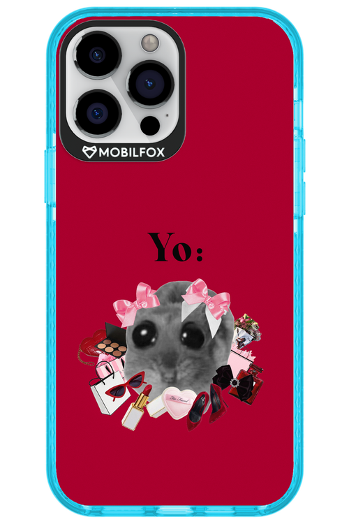 YO - Apple iPhone 13 Pro Max