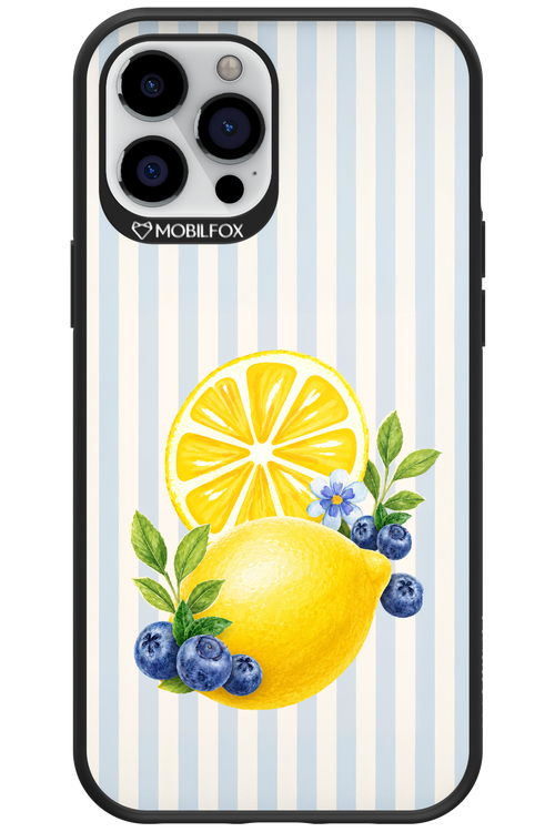 Fresh Flash 2.0 - Apple iPhone 12 Pro Max
