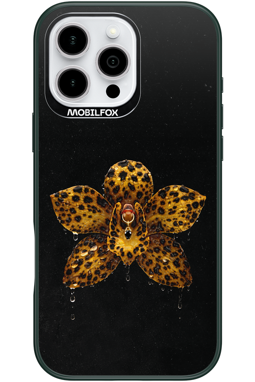 Wet & Wild 2.0 - Apple iPhone 16 Pro Max