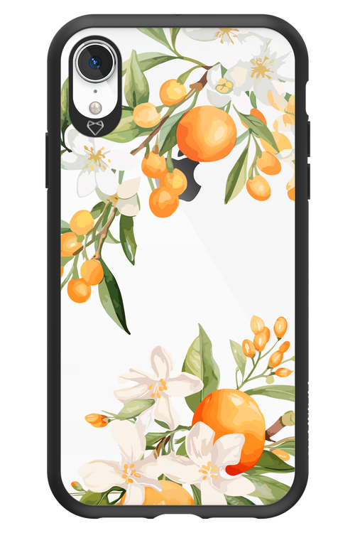 Amalfi Orange 2.0 - Apple iPhone XR
