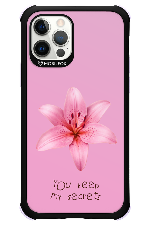 Secrets - Apple iPhone 12 Pro