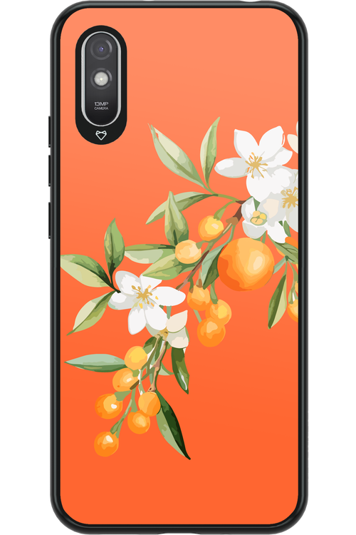 Amalfi Oranges - Xiaomi Redmi 9A