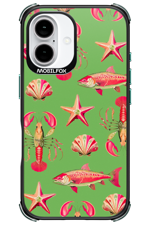 Sea Stars - Apple iPhone 16