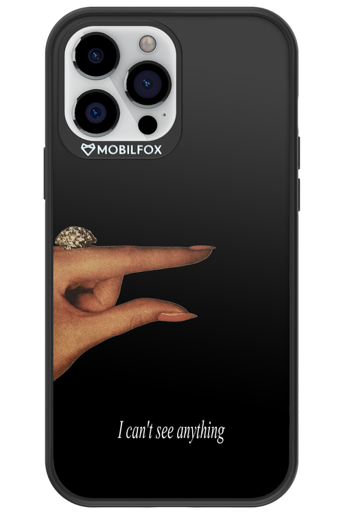 I can't see anything 2.0 - Apple iPhone 13 Pro Max