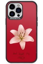 Chaos - Apple iPhone 13 Pro Max