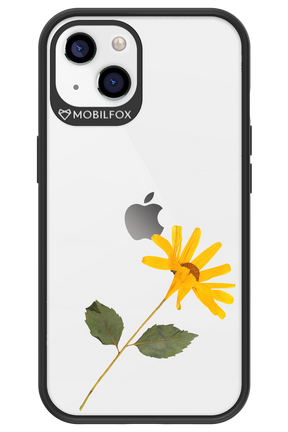 Pressed Flower - Apple iPhone 13