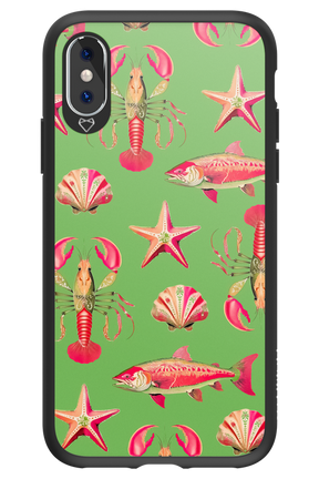 Sea Stars - Apple iPhone XS