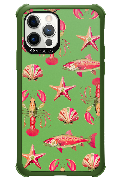 Sea Stars - Apple iPhone 12 Pro