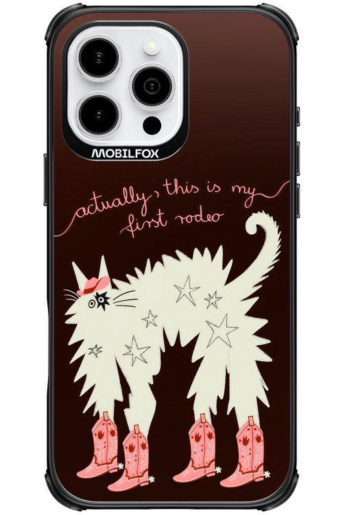 First rodeo 2.0 - Apple iPhone 16 Pro Max