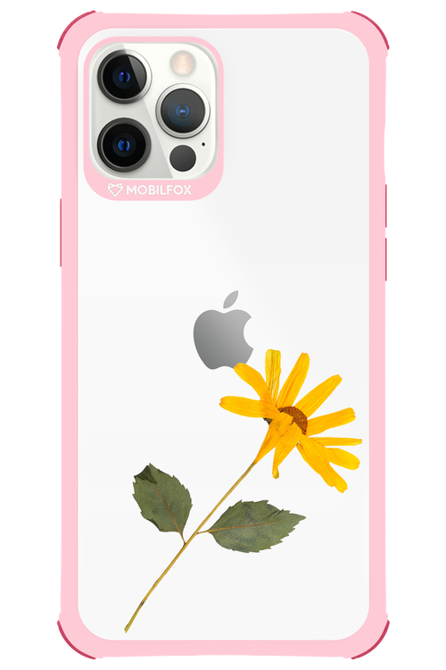 Pressed Flower - Apple iPhone 12 Pro Max