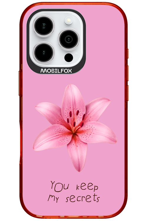 Secrets - Apple iPhone 16 Pro