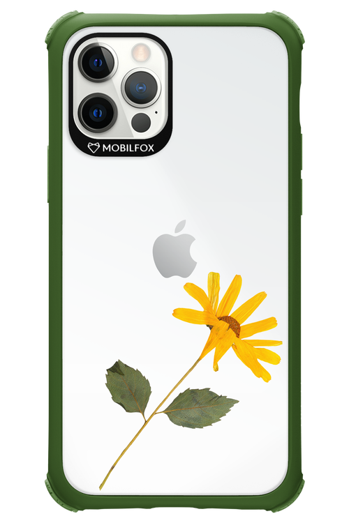 Pressed Flower - Apple iPhone 12 Pro